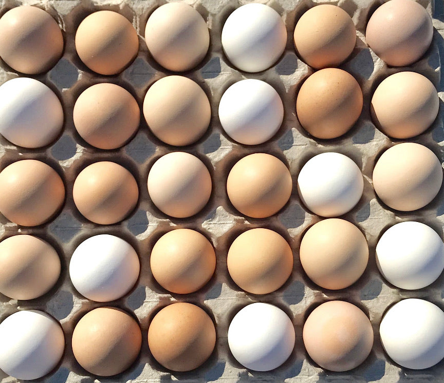 Eggs (large)