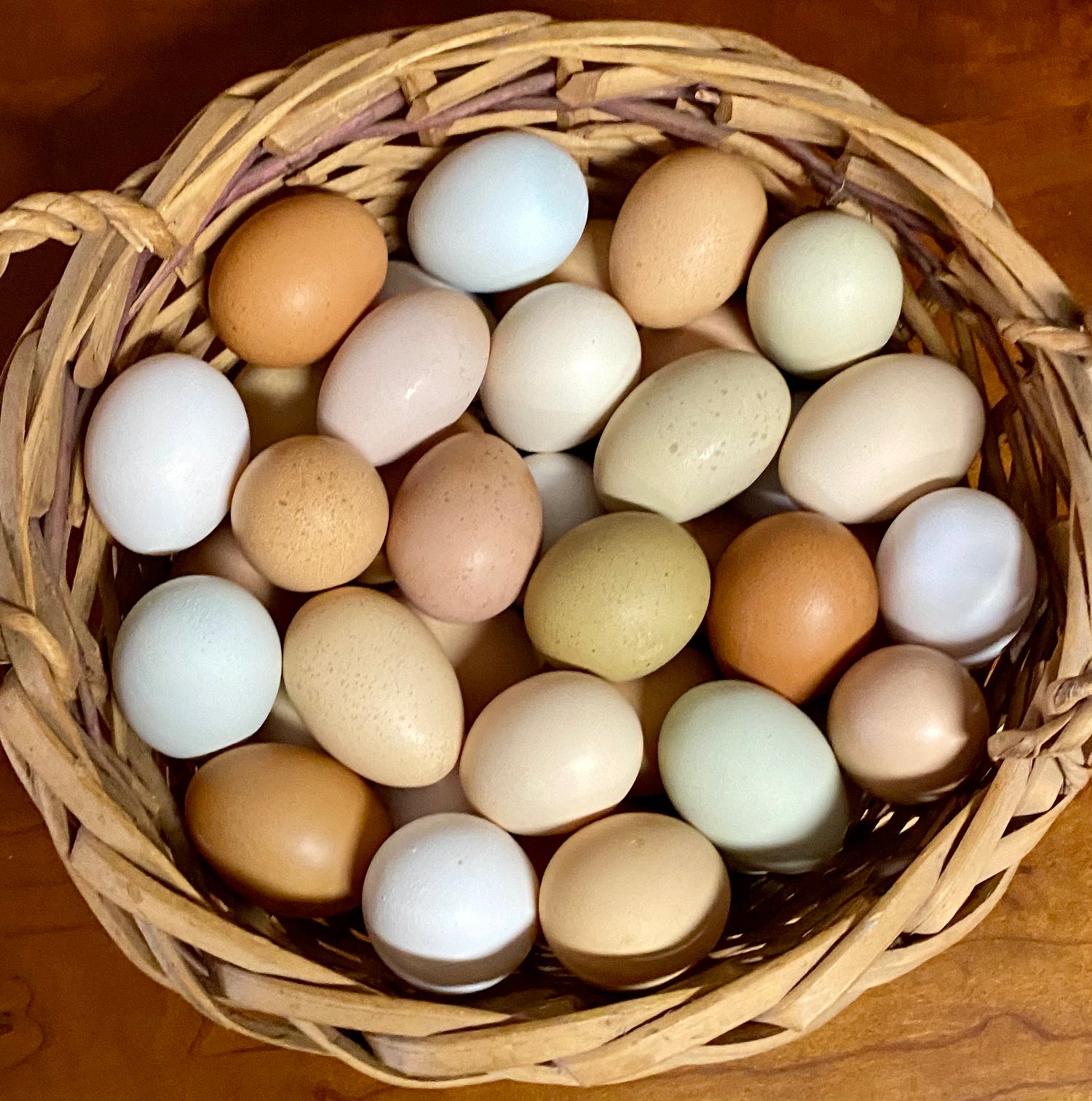 FRESH EGGS