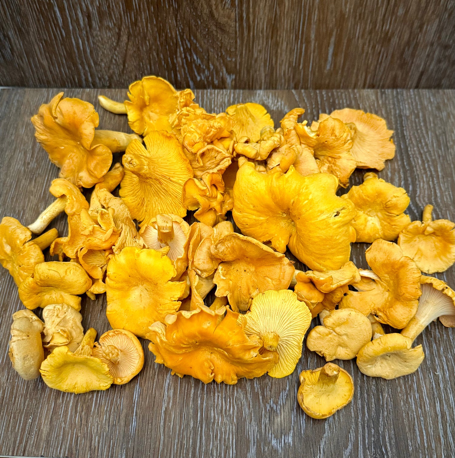 DRIED MUSHROOMS