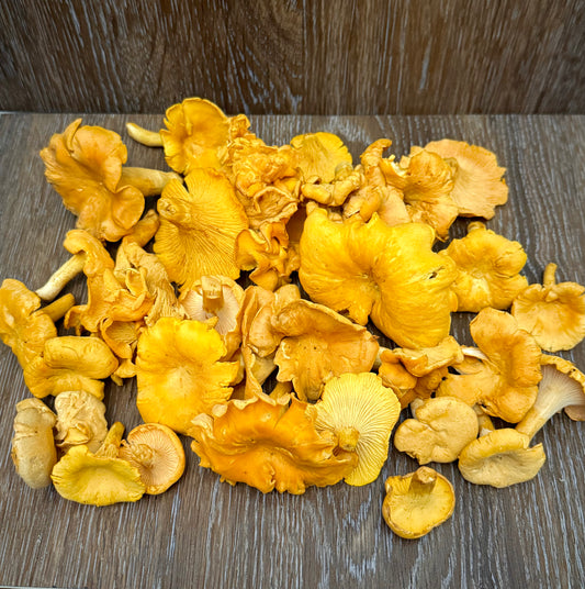 CHANTERELLE POWDER