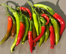 HOT PEPPERS:  CAYENNE (1/8 LB)