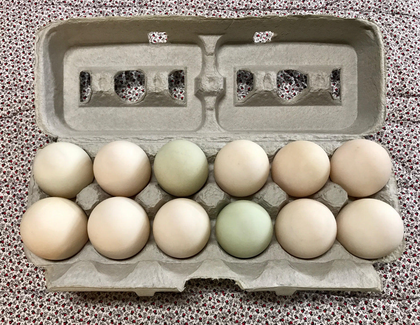 DUCK EGGS