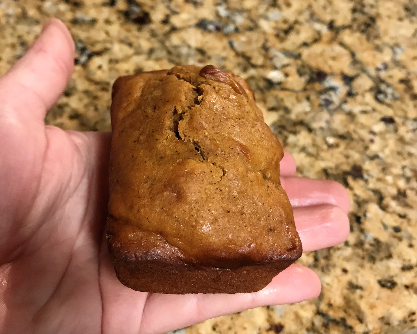 MUFFIN:  PUMPKIN CHOCOLATE CHIP MINI-LOAF