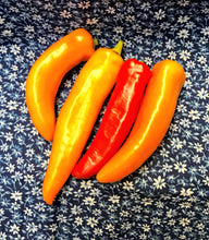 XX--NO MORE THIS SEASON--XX--PEPPERS, HOT:  MIXED (1/4 LB, three options)