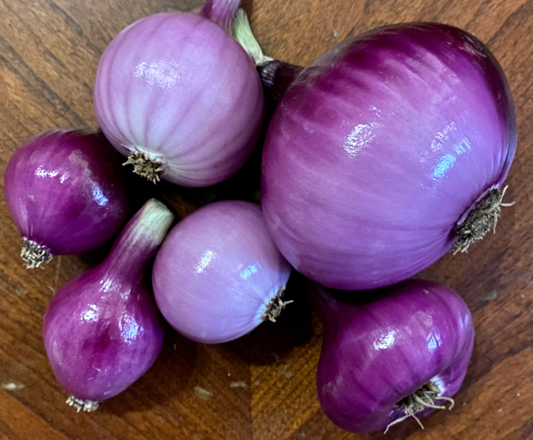 SWEET RED ONIONS (1 LB)