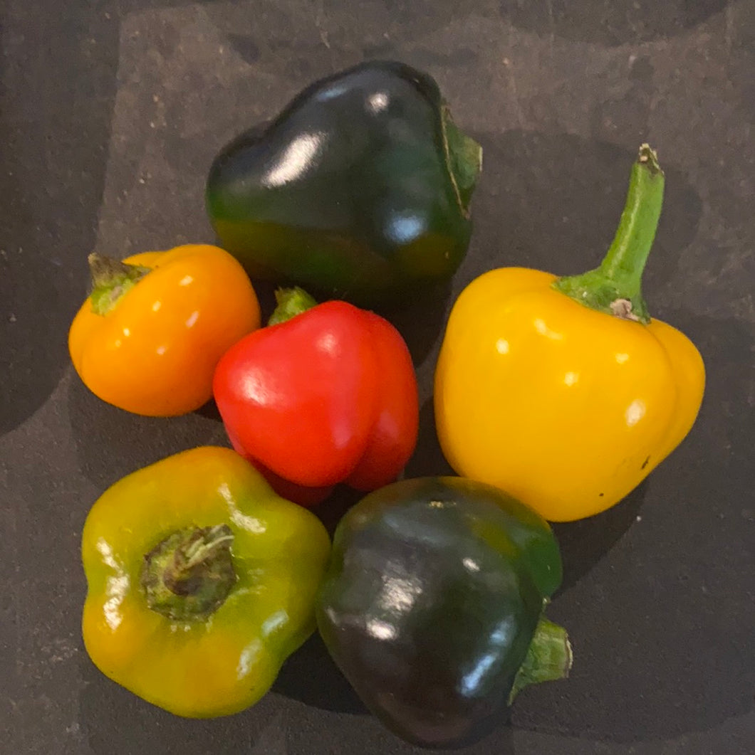 SWEET PEPPERS:  MIXED MINI BELL (3oz)