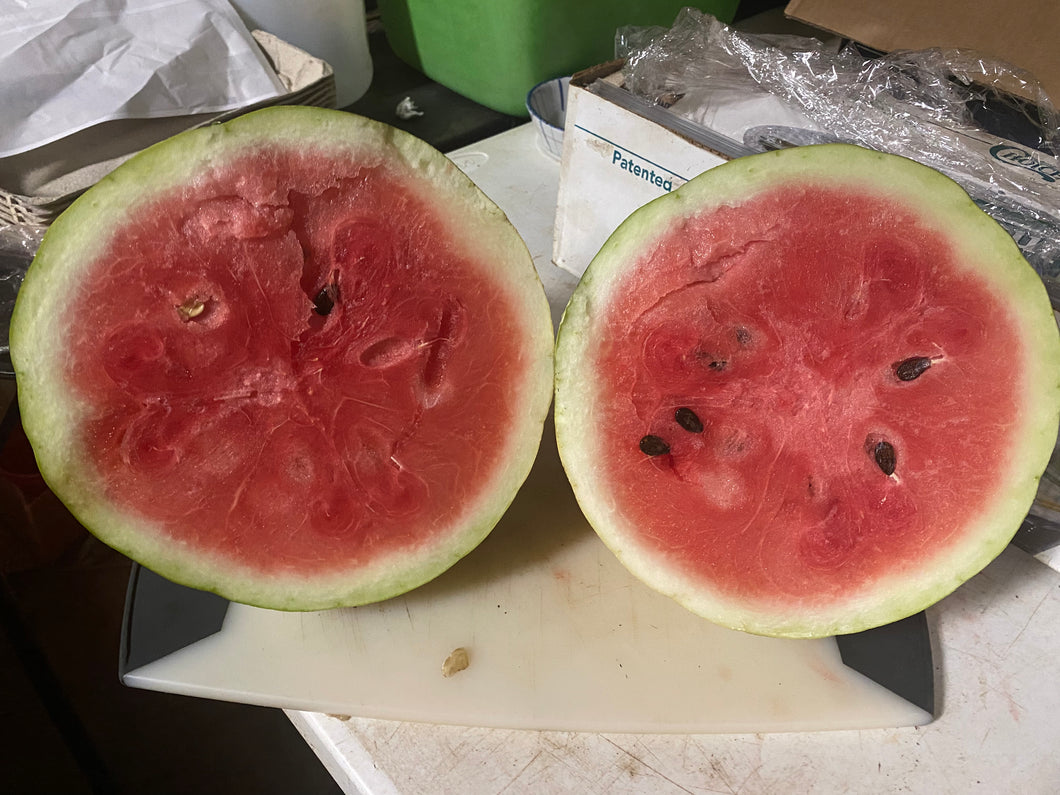HEIRLOOM WATERMELON: RED (Whole)