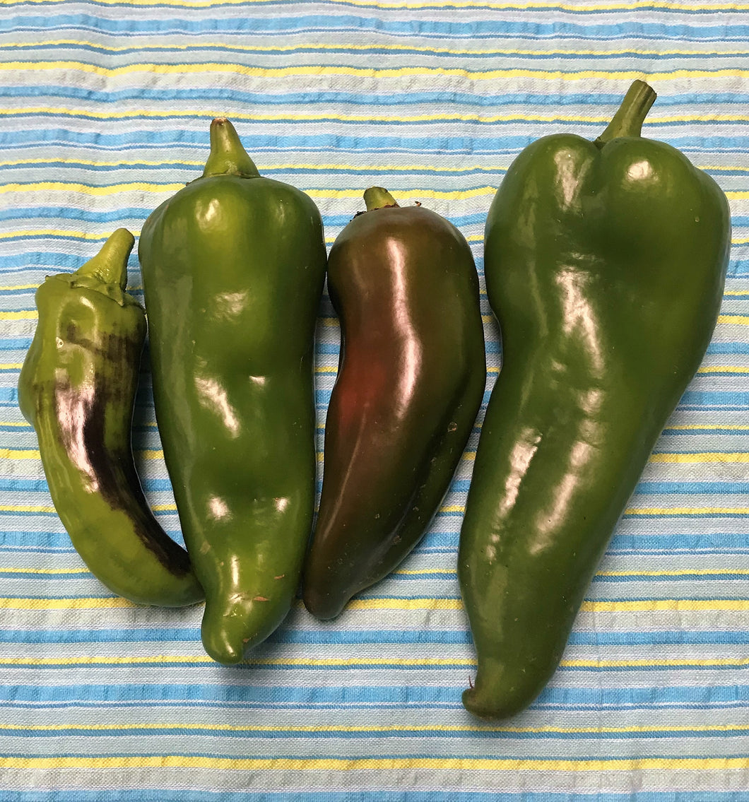 XX--NO MORE THIS SEASON--XX--PEPPERS, SWEET:  CUBANELLE (1/2 LB)